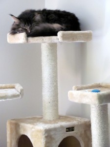 Trooper at the top of the tower