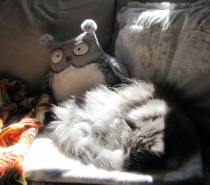 A cat and his owl. And the sunspot.
