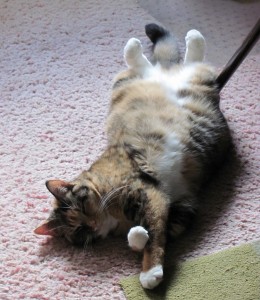 Scrabble reveals a new dance move