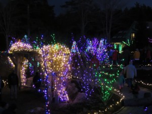 Coast Maine Botanical Garden Dec 19 2015