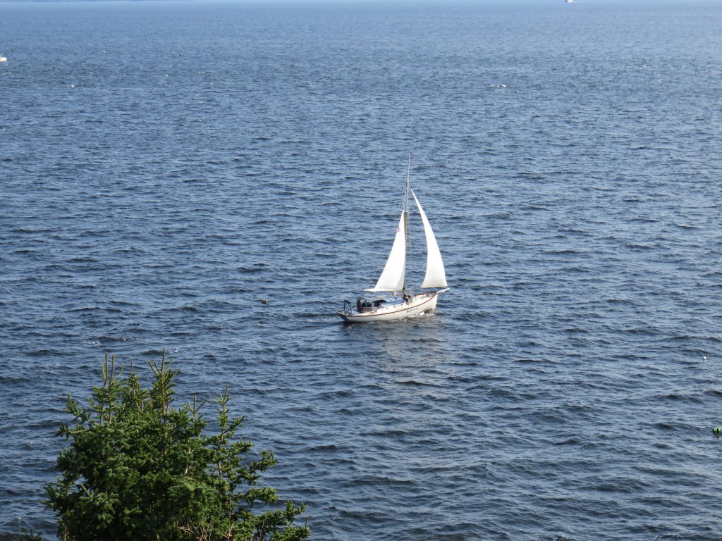 Sailboat in a sea of blue