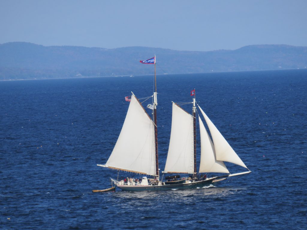 Sloop sails full