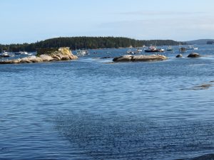 Stonington Harbor